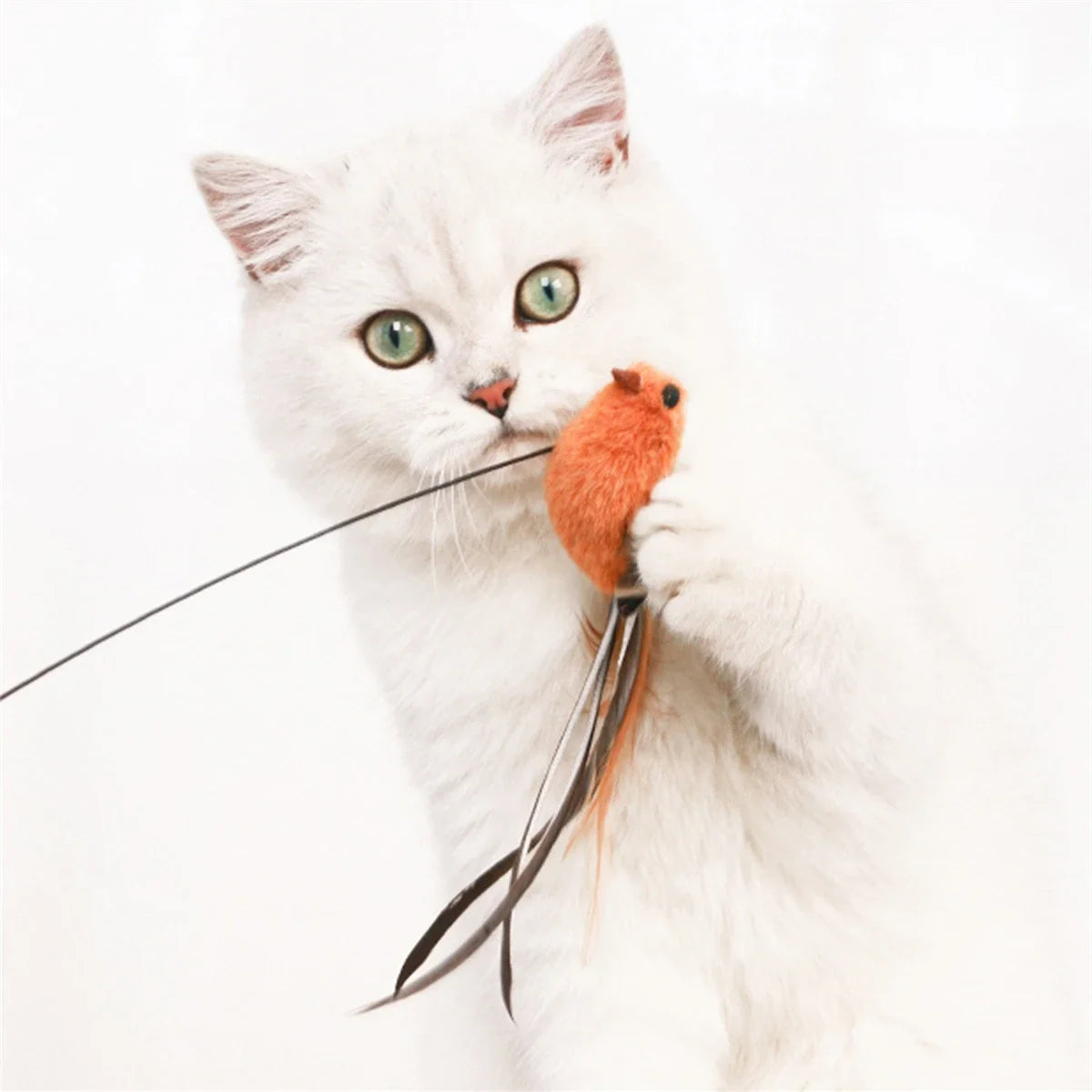 Överraska din katt med en rolig och stimulerande leksak som väcker naturliga instinkter!