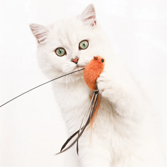 Överraska din katt med en rolig och stimulerande leksak som väcker naturliga instinkter!