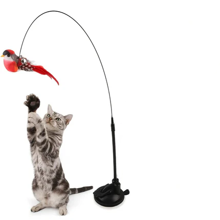 Gör din katt lycklig! Jaktbågen aktiverar din katt på nolltid!